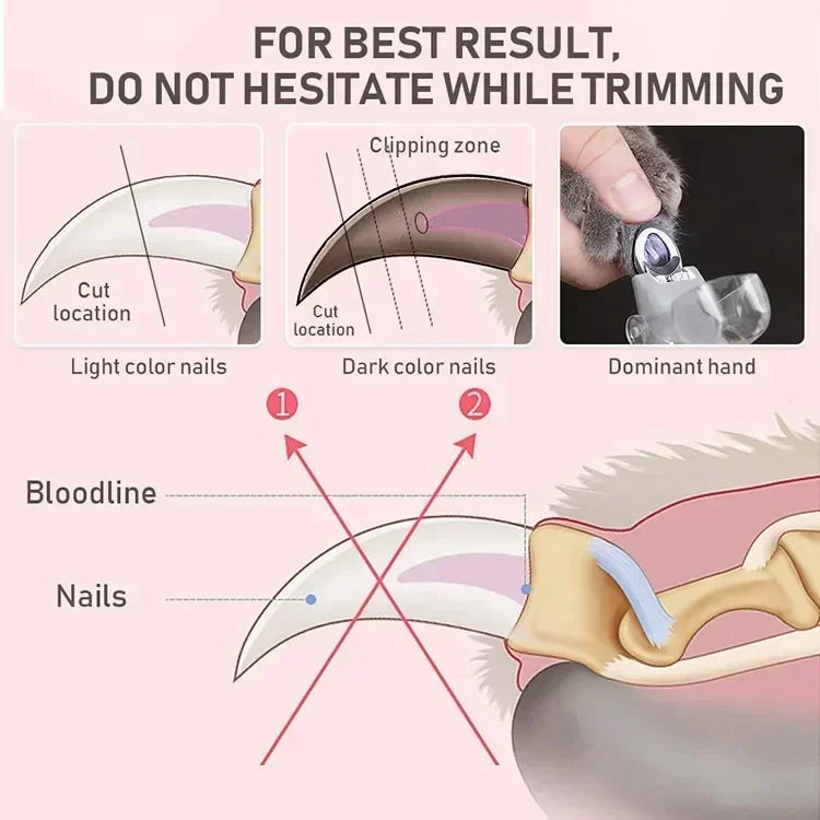 LED Pet Nail Clippers for Dogs & Cats – Safe Precision Grooming Scissors