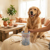 A golden retriever placing its paw into a PawClean Pro automatic paw washer in a cozy, sunlit home setting.