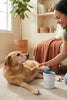 A woman using the PawClean Pro automatic paw washer on her calm rescue dog in a sunlit living room.