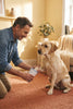 A man using the PawClean Pro electric paw cleaner on a Labrador in a cozy living room.